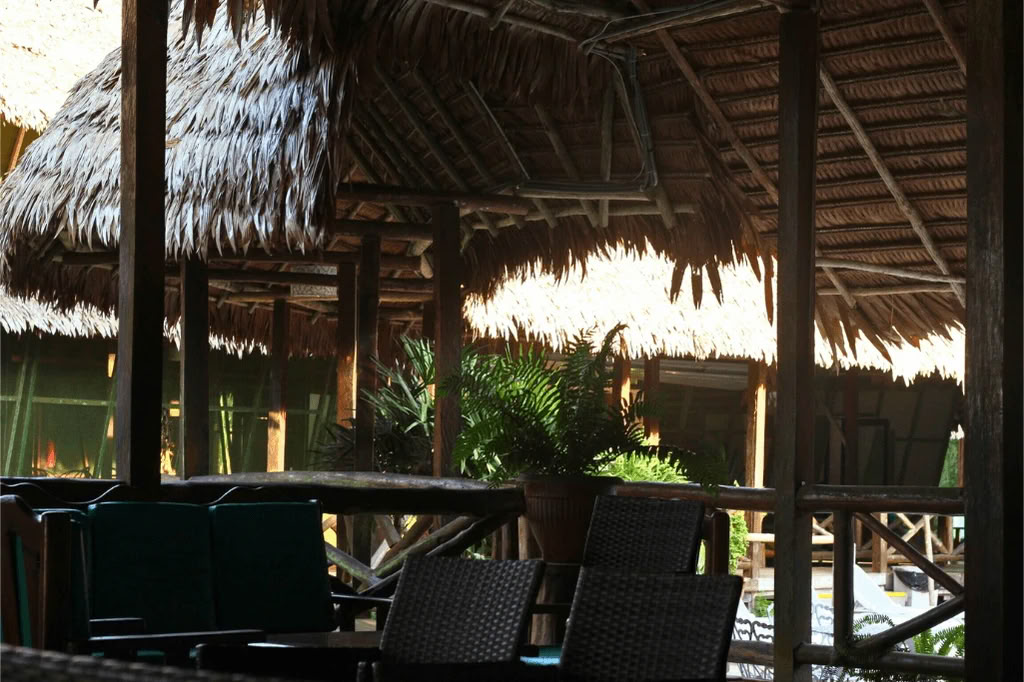 Amazzonia - Blue Morpho Lodge 3 ayahuasca & 1 San Pedro