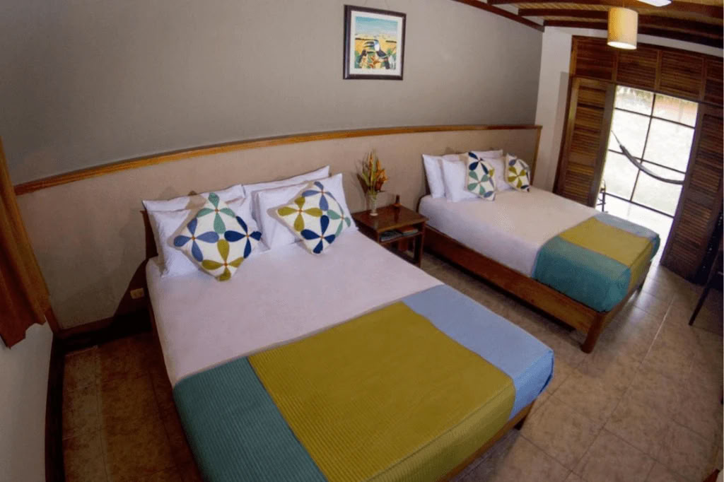 Amazzonia - Blue Morpho Lodge 3 ayahuasca & 1 San Pedro