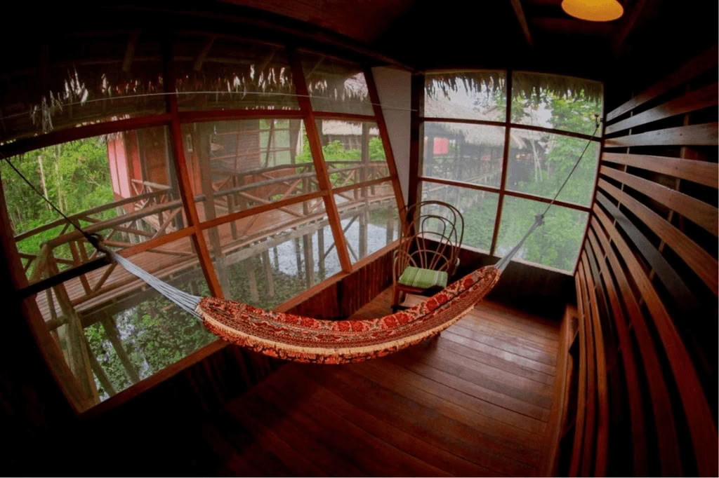 Amazzonia - Blue Morpho Lodge 3 ayahuasca & 1 San Pedro