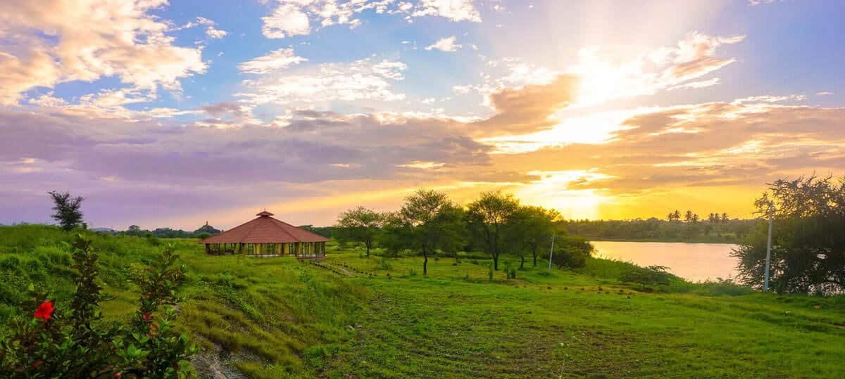 200 Ore di Formazione Insegnanti di Yoga in India – 6 Ottobre - 3 Novembre 2026