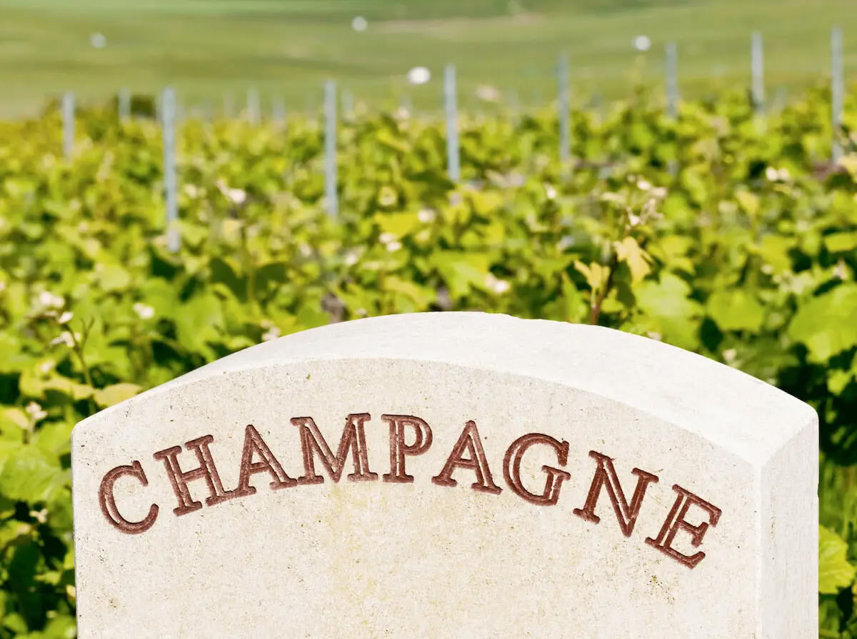 Champagne & Soul: Ritiro di Yoga per Donne + Champagne (Reims, Francia)