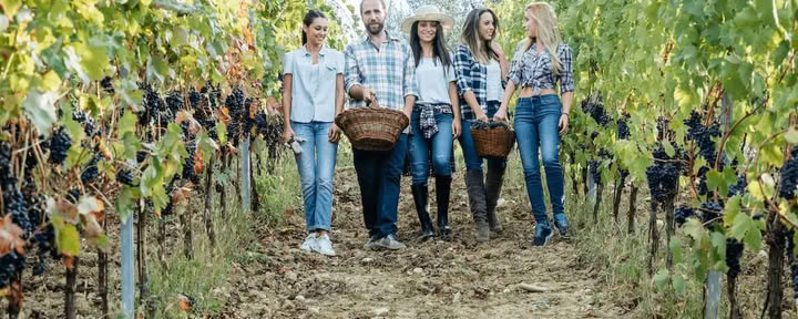 Champagne & Soul: Ritiro di Yoga per Donne + Champagne (Reims, Francia)