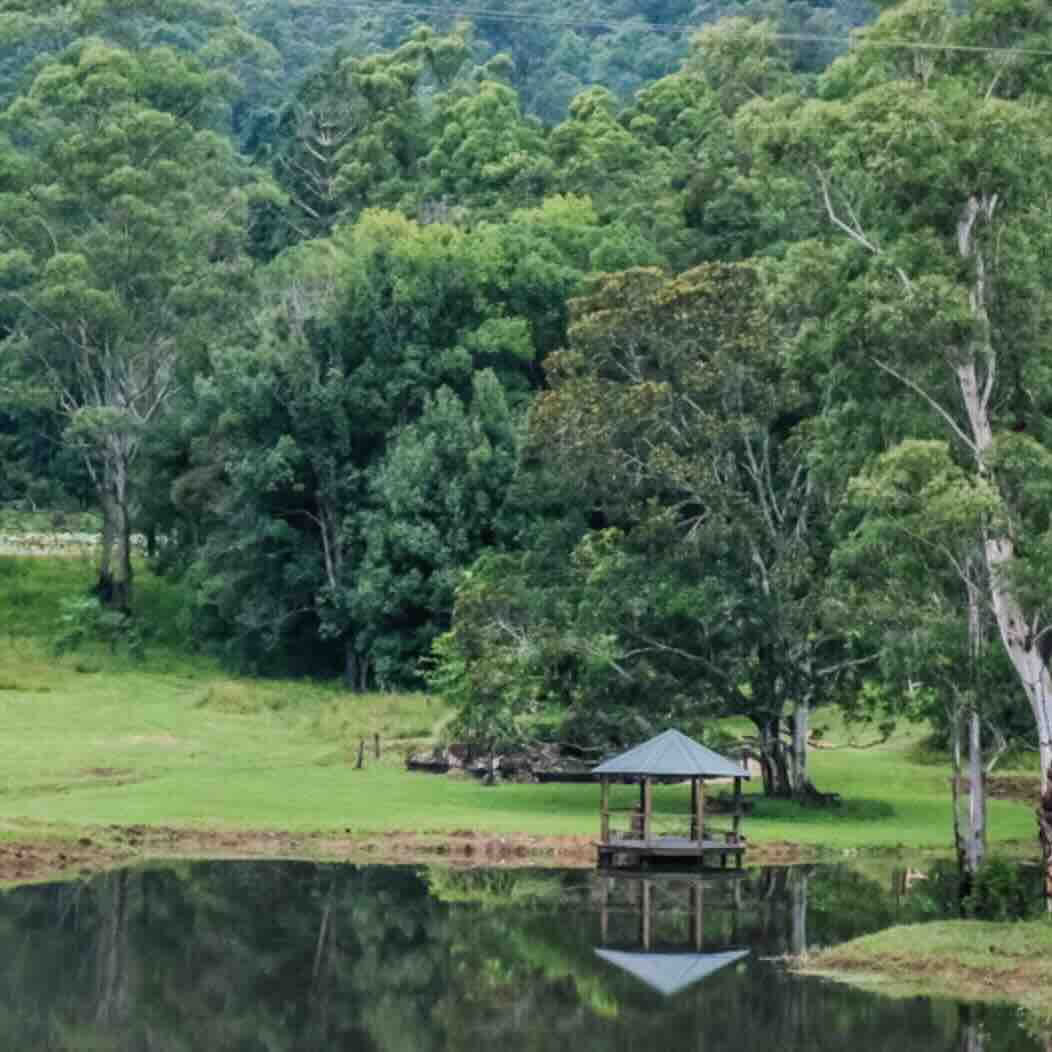 7 Giorni di Immersione nello Yin Yoga per Insegnanti e Praticanti di Yoga