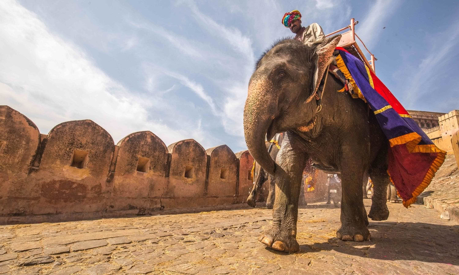 'Spirito dell'Himalaya' Tour + Festival di Holi in India