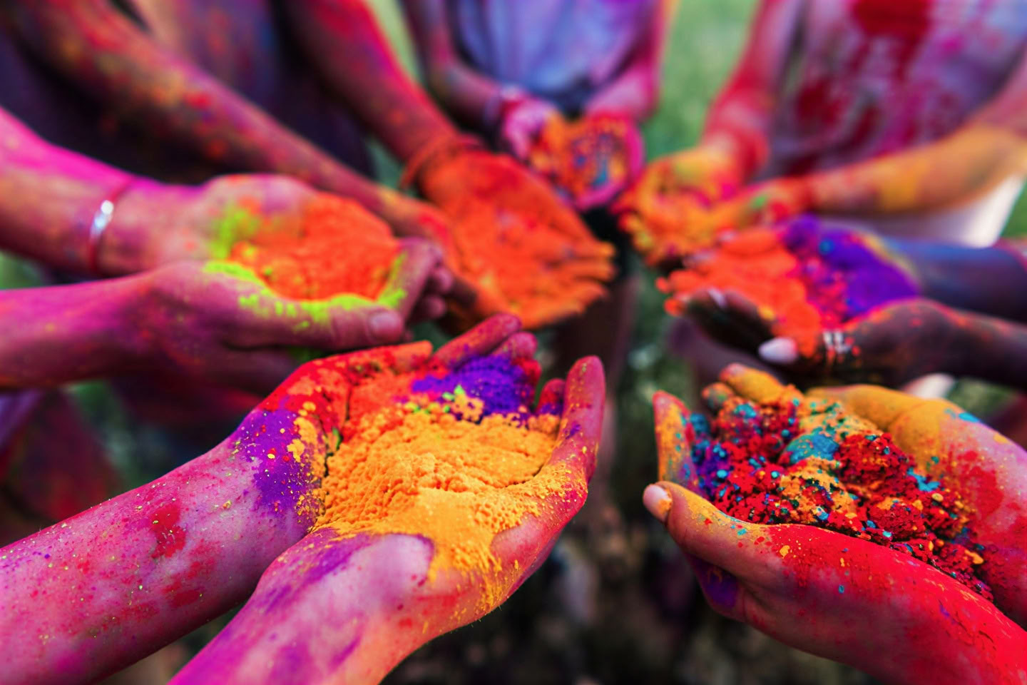 'Spirito dell'Himalaya' Tour + Festival di Holi in India