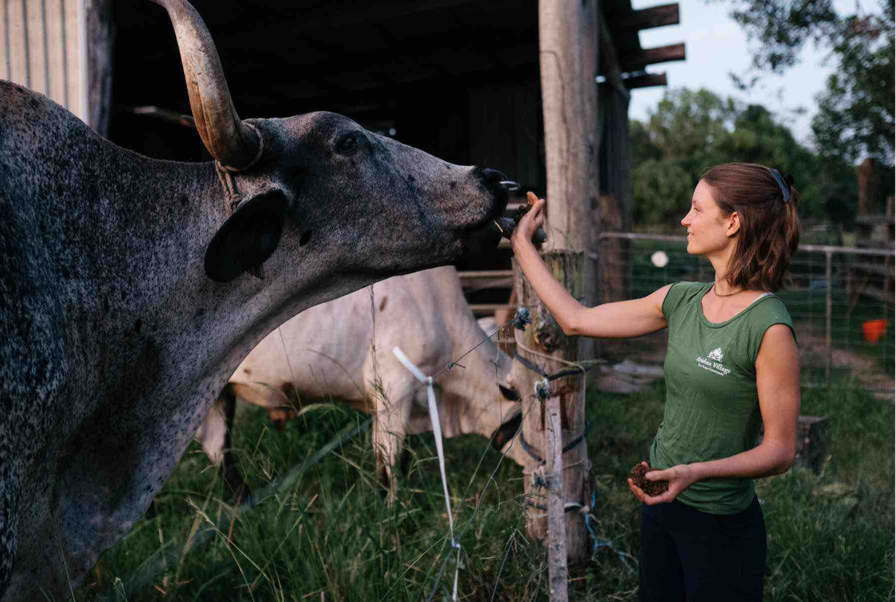 Ritiro Immersivo YTT