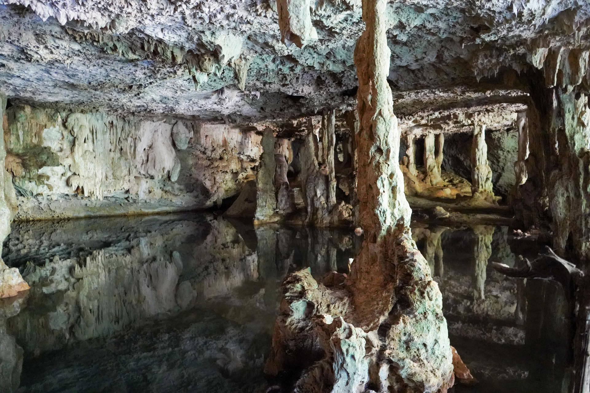 Tour di integrazione in un cenote privato
