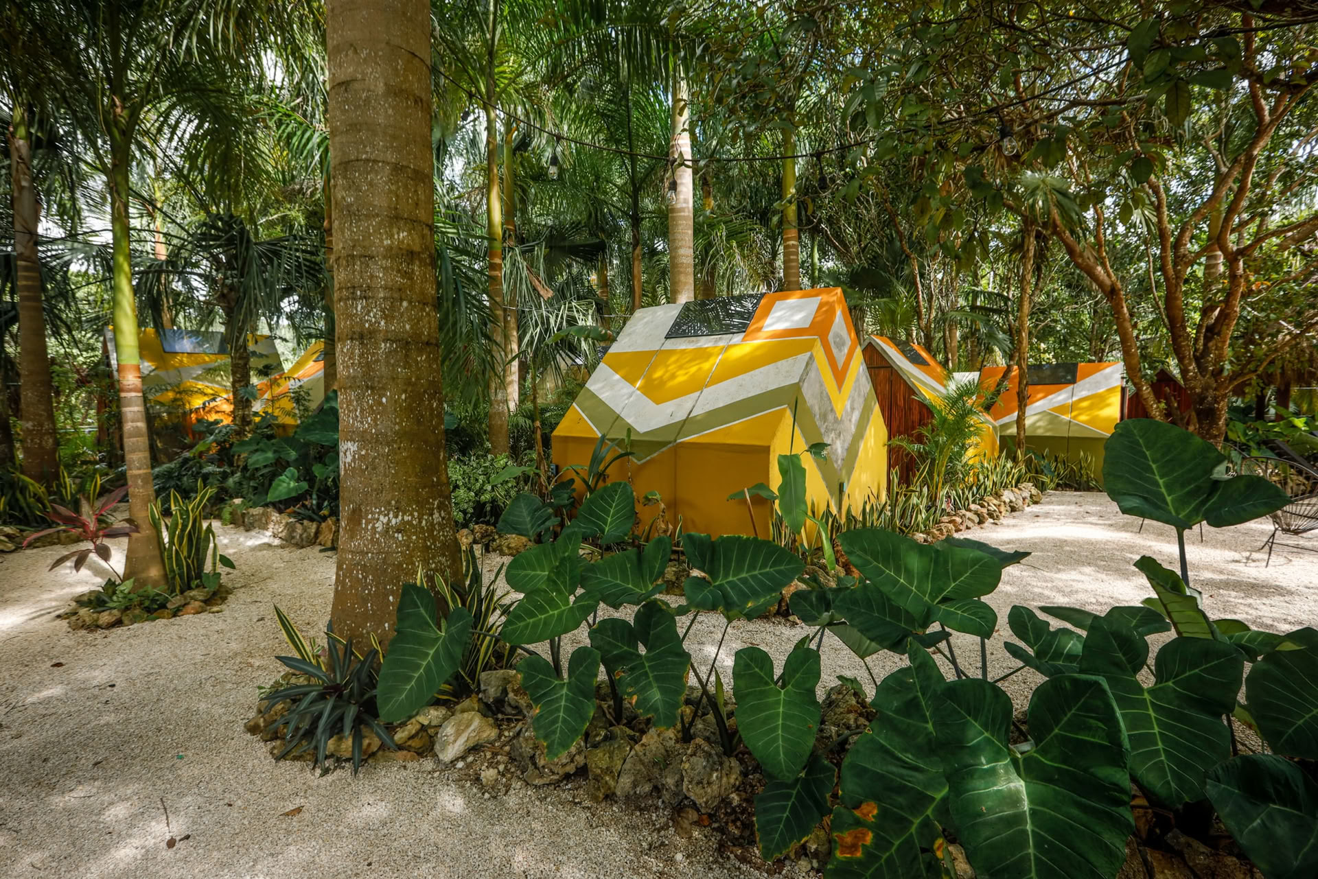 Bufo lagoon retreat - Luna del raccolto