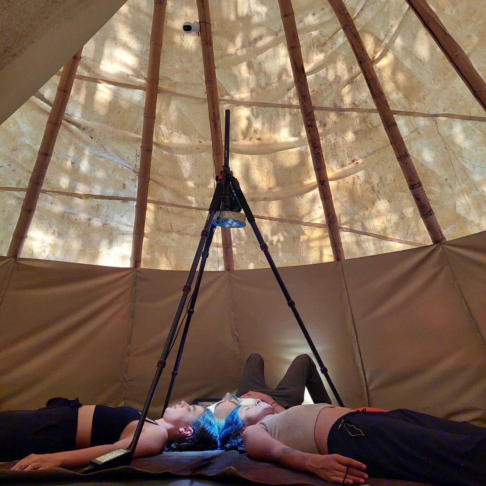 Terapia guidata con ibogaina (4 notti)