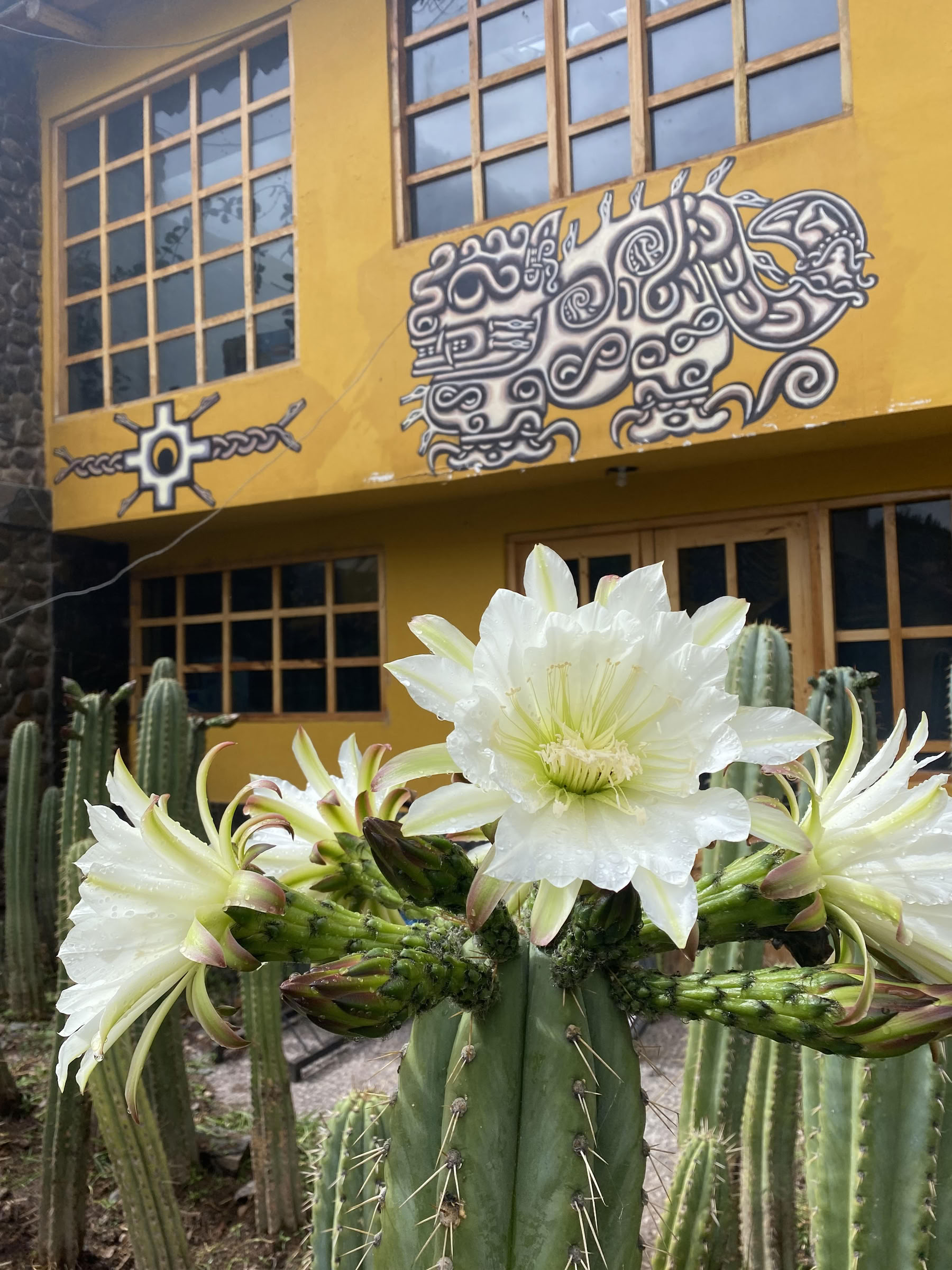 Cerimonia di San Pedro