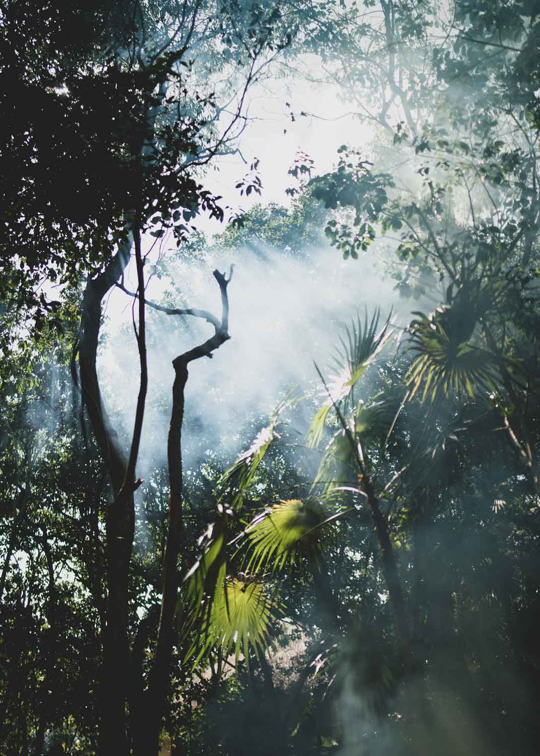 Sacred Flow Ritiro – 21th - 28th November