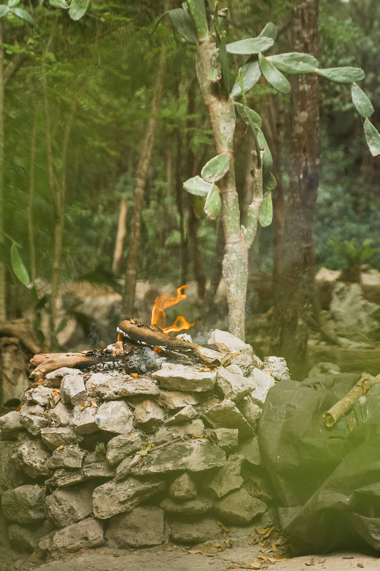 Sacred Flow Ritiro – 9th - 16th January 2027