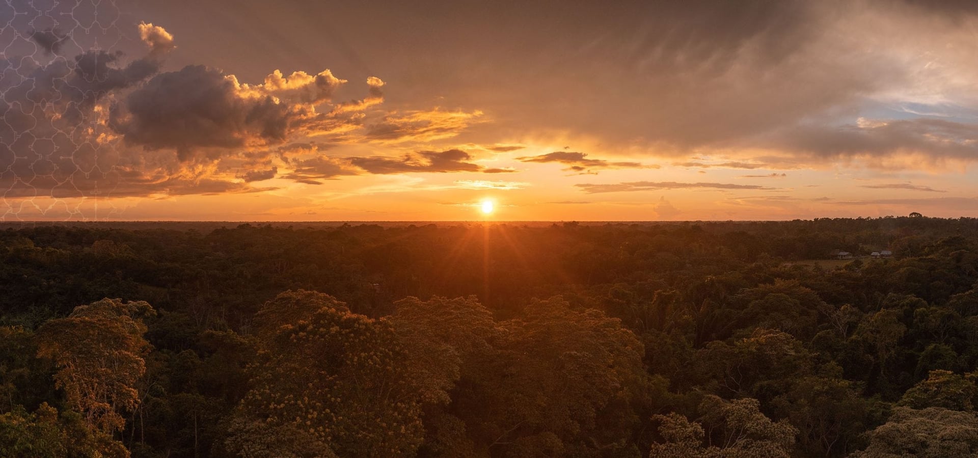Ayahuasca Healing Ritiro + Ritiro di Integrazione di 5 Giorni