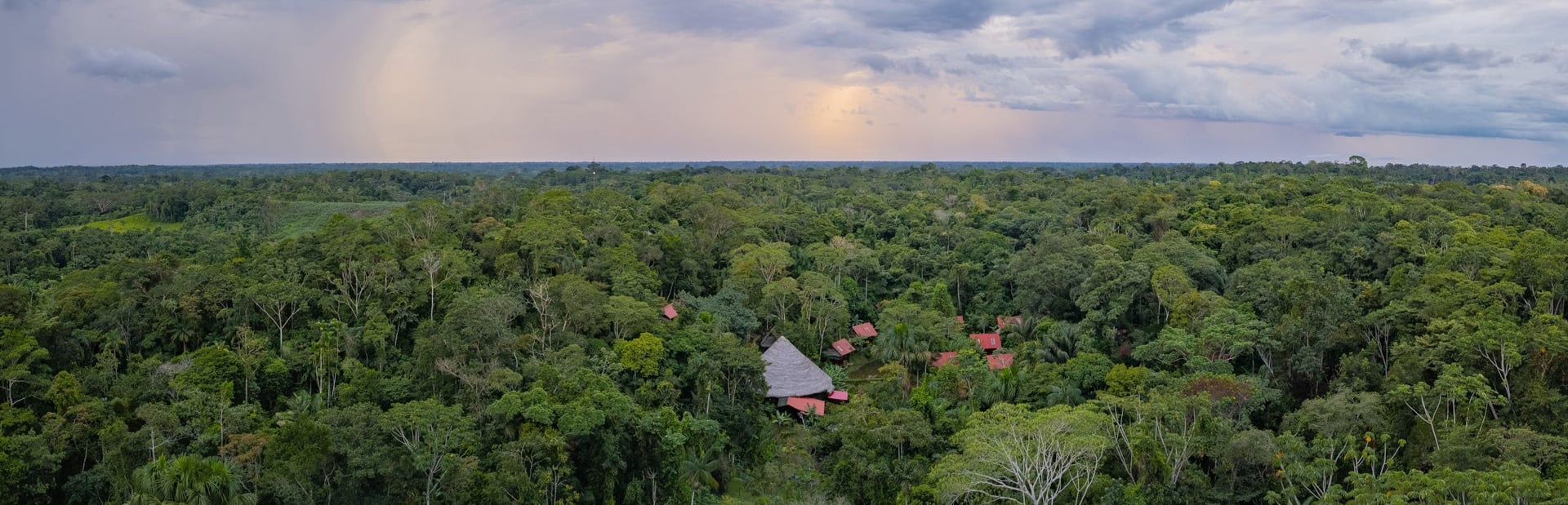 Ritiro di guarigione con Ayahuasca per donne