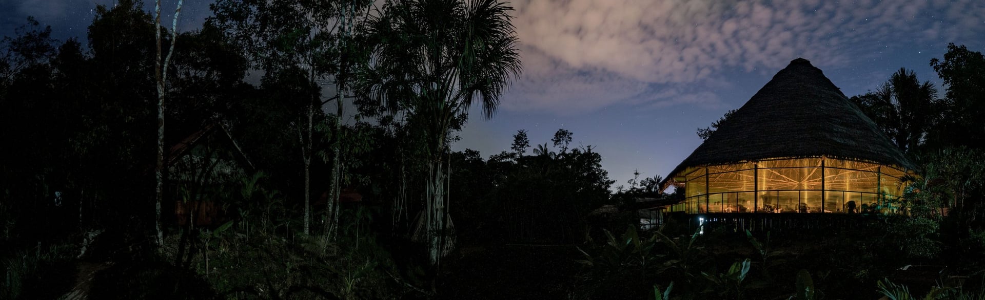 Ritiro di guarigione con Ayahuasca per donne