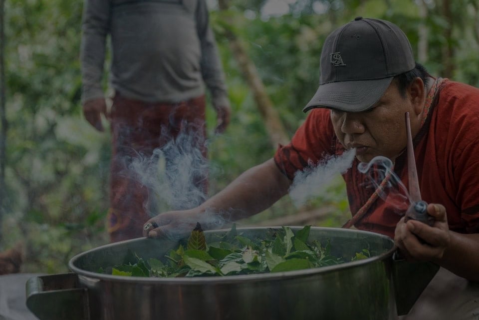 Ritiro di guarigione con Ayahuasca per donne
