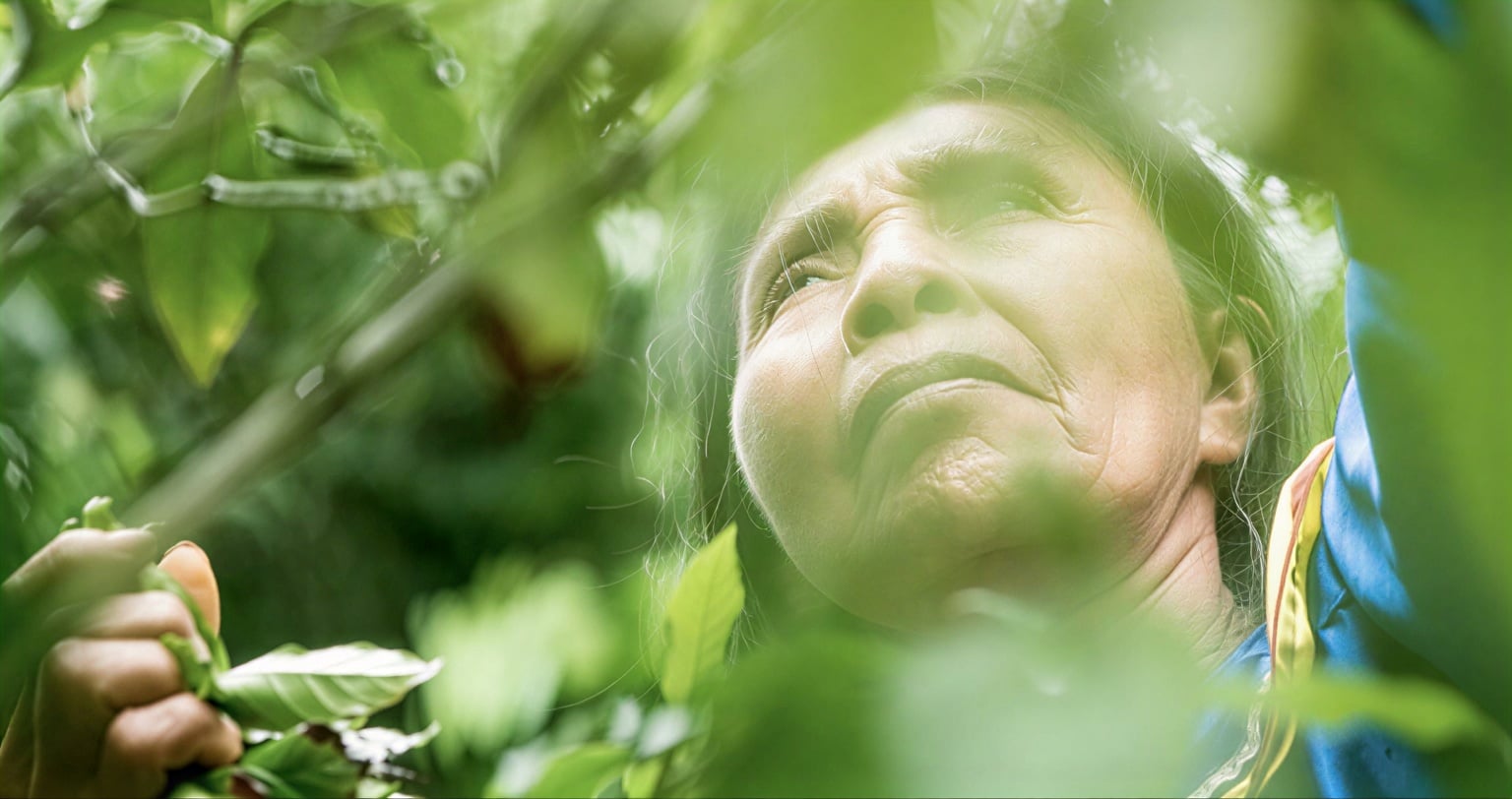 Ritiro di guarigione con Ayahuasca per donne