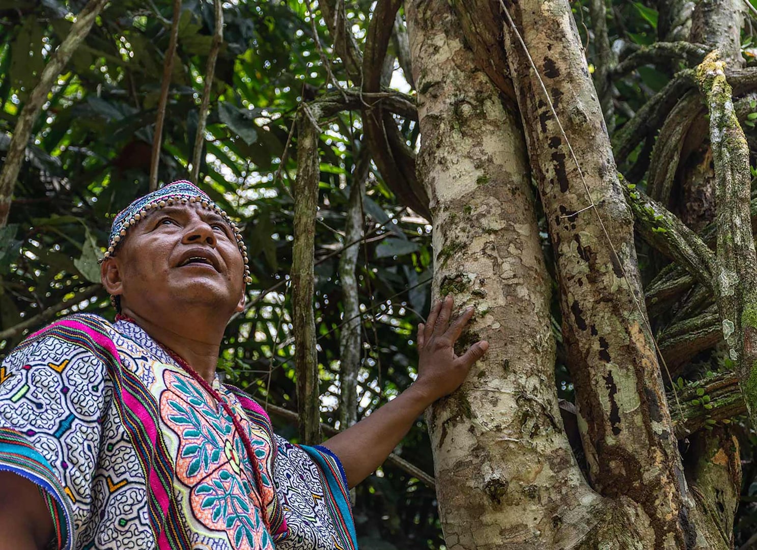 Ritiro di guarigione con Ayahuasca per donne