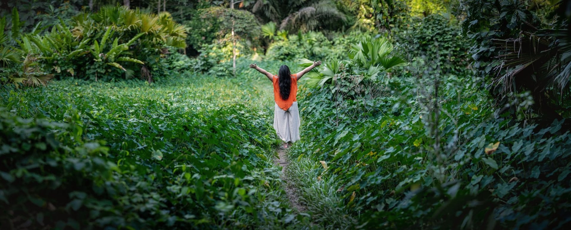 Ritiro di guarigione con Ayahuasca per donne