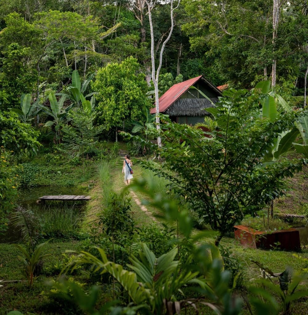 Ritiro di guarigione con Ayahuasca per donne
