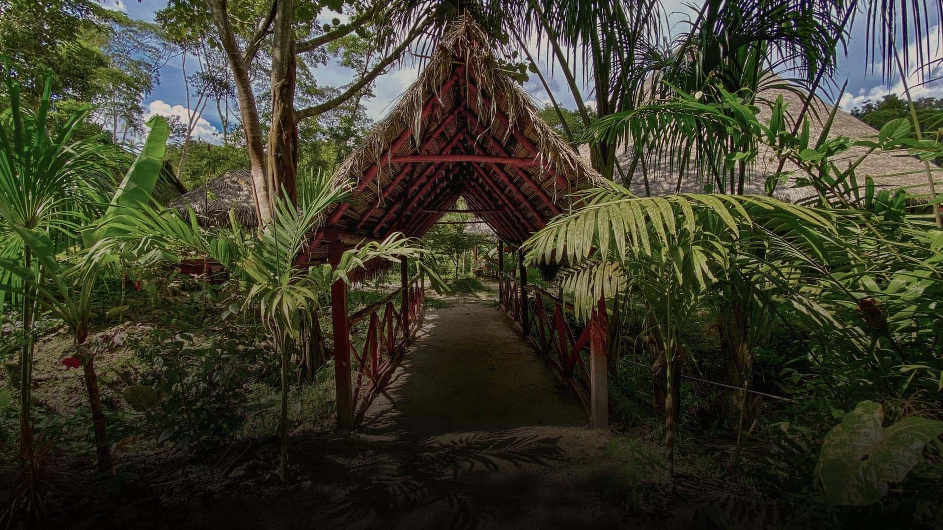 Ritiro di guarigione con Ayahuasca per donne