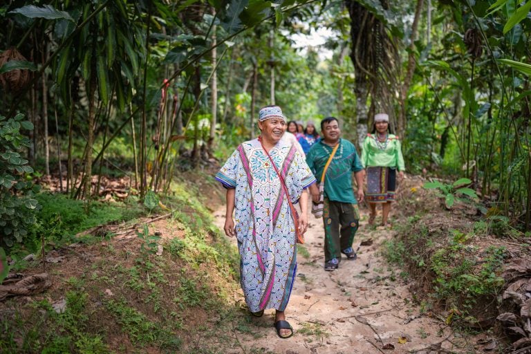 Ritiro di guarigione con Ayahuasca per donne