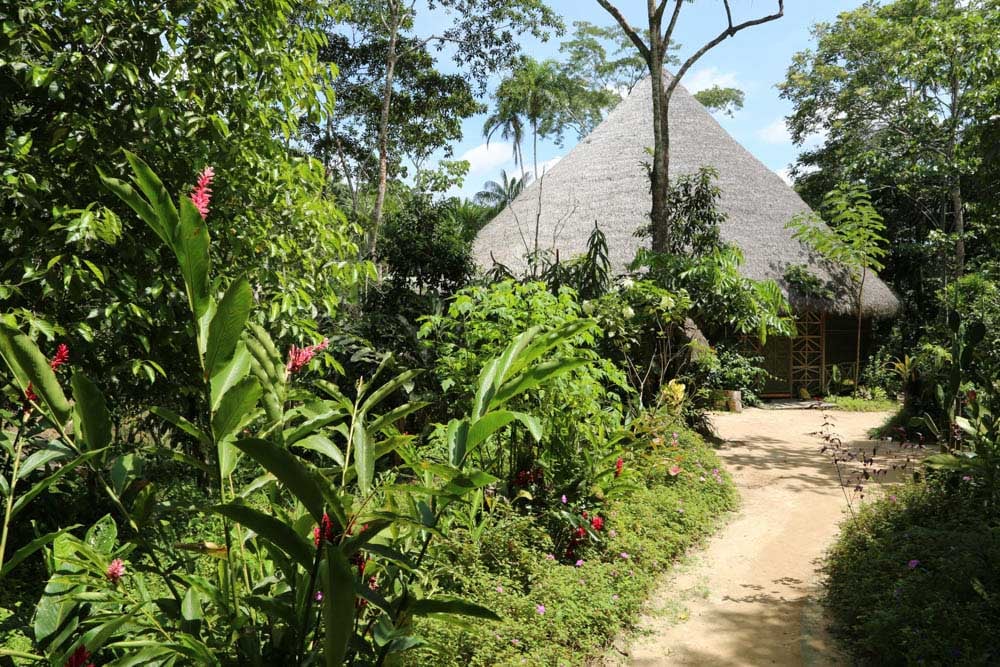 Ritiro di guarigione con Ayahuasca per donne