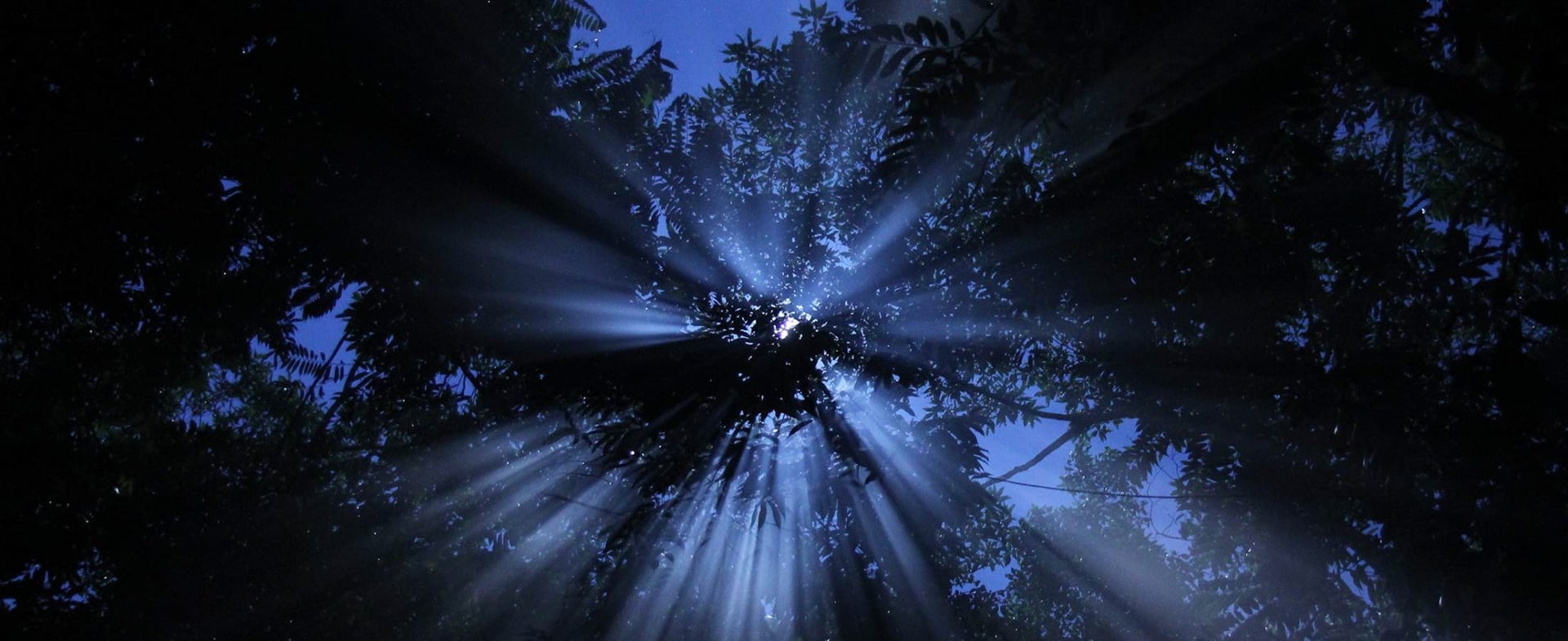 Ritiro Ayahuasca per Operatori Sanitari 2026