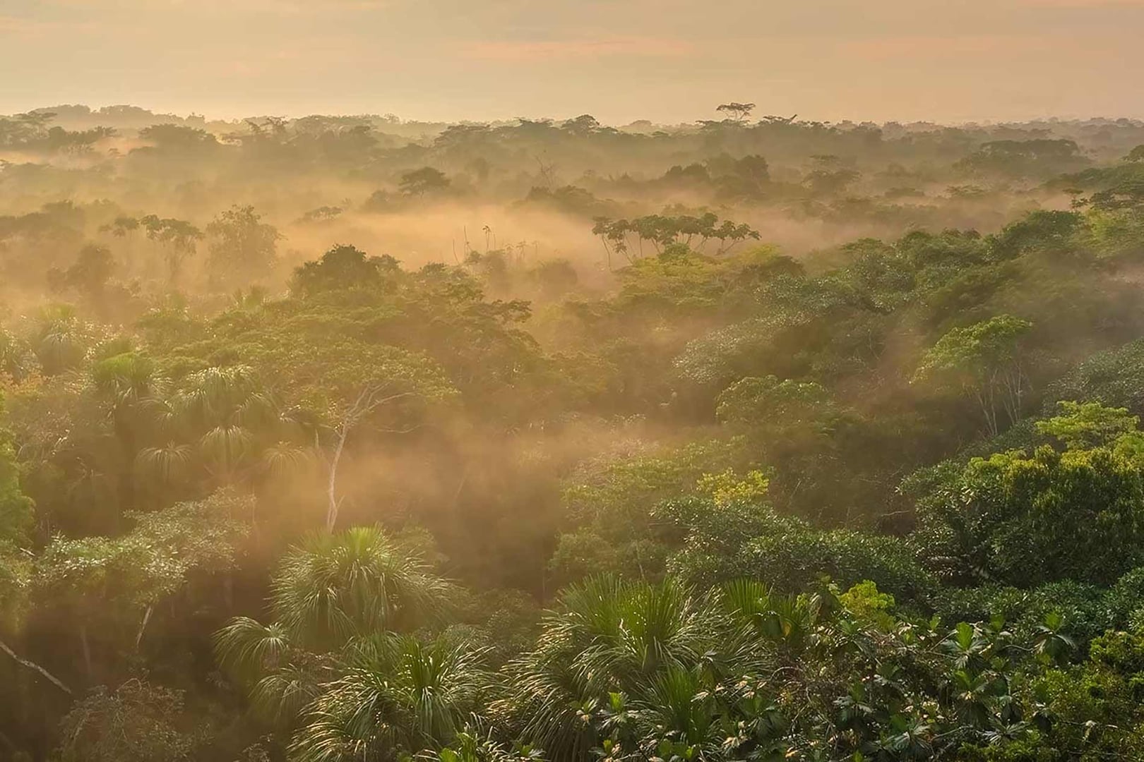 Ritiro Ayahuasca per Operatori Sanitari 2026