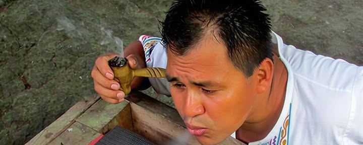 10 giorni di Ritiro di Rejuvenation Ayahuasca