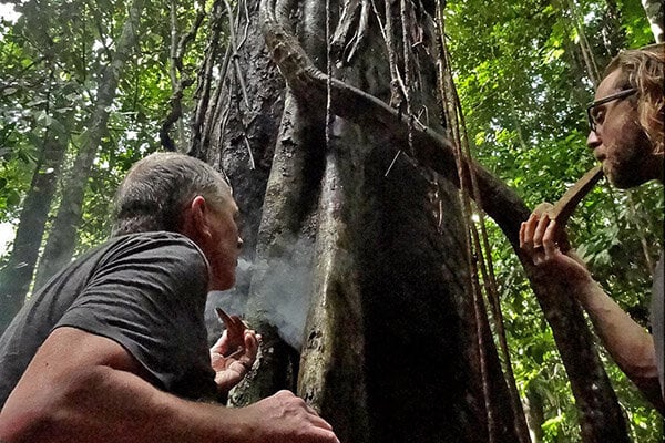 8 Settimane Corso di Iniziazione all’Ayahuasca