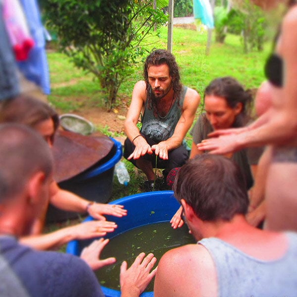 8 Settimane Corso di Iniziazione all’Ayahuasca