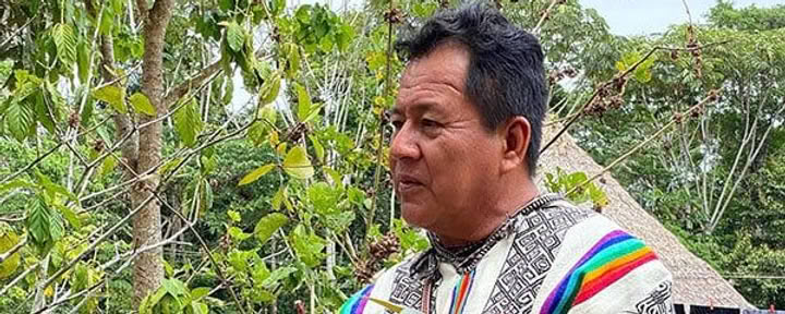 8 Settimane Corso di Iniziazione all’Ayahuasca