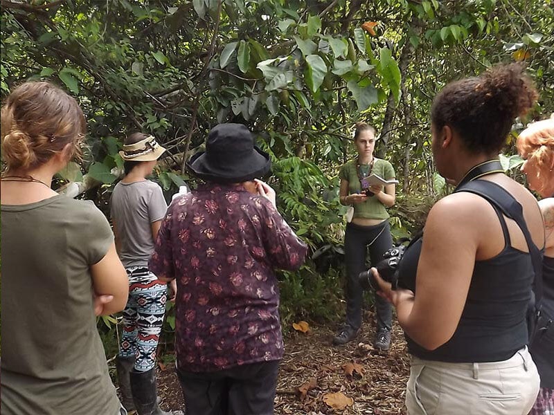 Ritiro di Ayahuasca per Donne di 10 Giorni