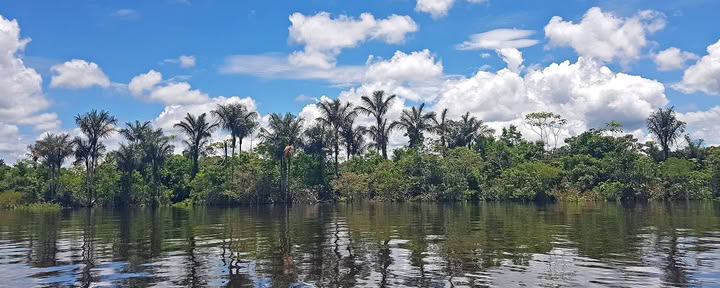 Ritiro di Ayahuasca per Donne di 10 Giorni