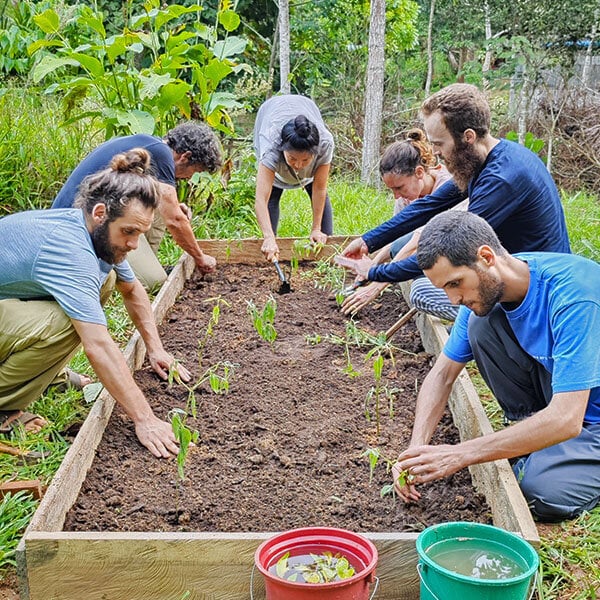 Corso di Iniziazione all’Ayahuasca Shipibo di Otto Settimane in Perù – 4 ottobre - 28 novembre 2026