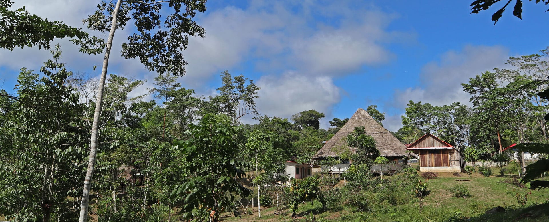 Corso di Iniziazione all’Ayahuasca Shipibo di Otto Settimane in Perù – 4 ottobre - 28 novembre 2026