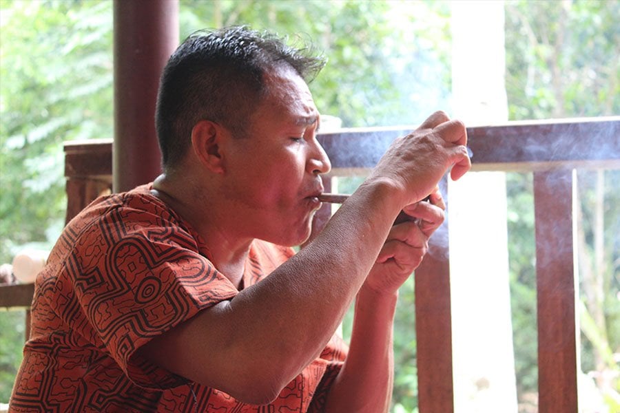Shipibo Ayahuasca Ritiro and Plant Dieta