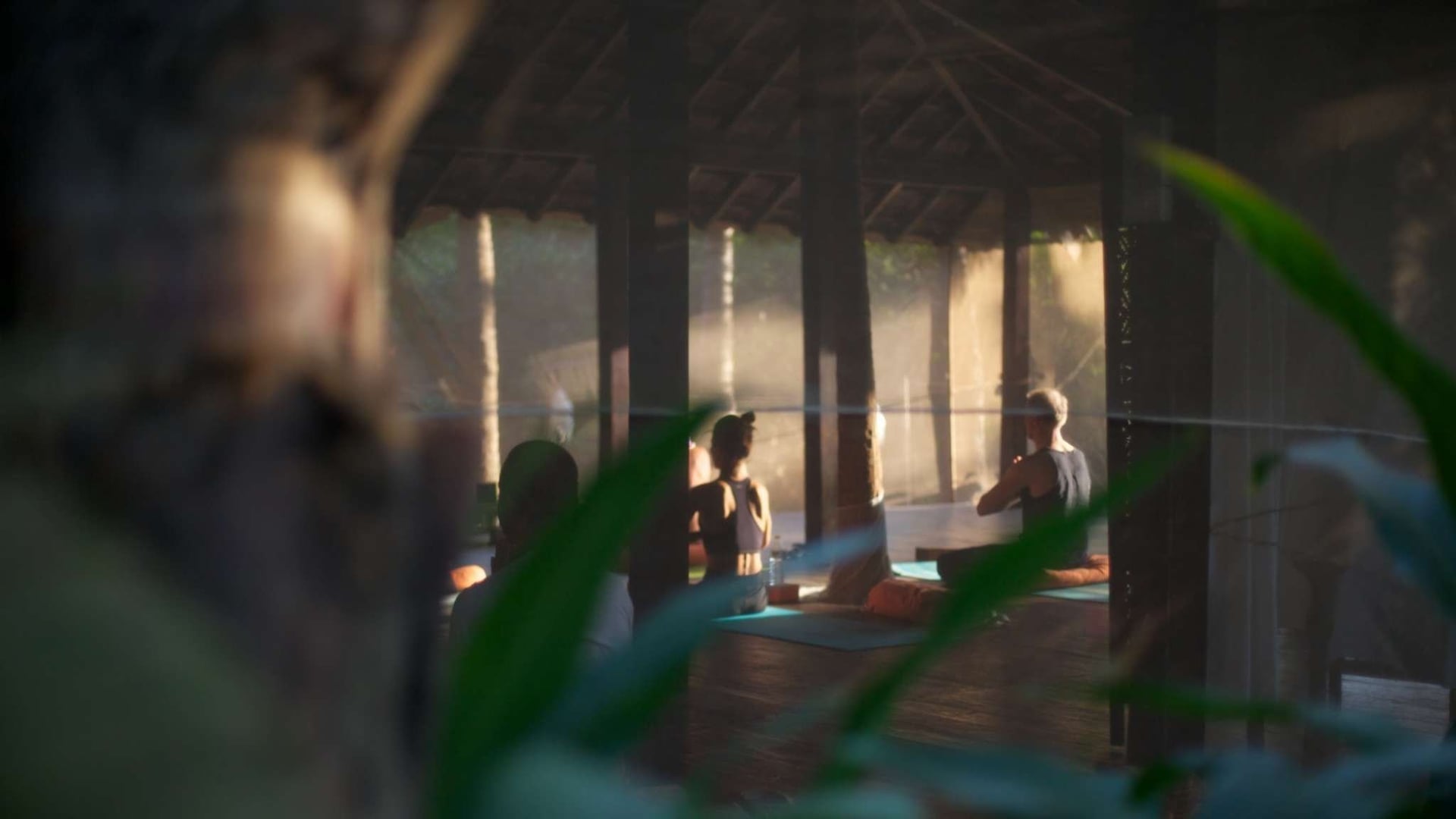 Fire and Nectar Yoga Ritiro in Goa, India
