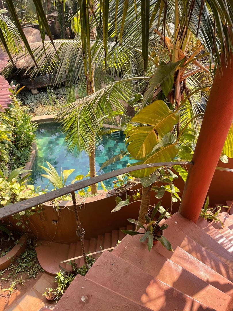 Fire and Nectar Yoga Ritiro in Goa, India