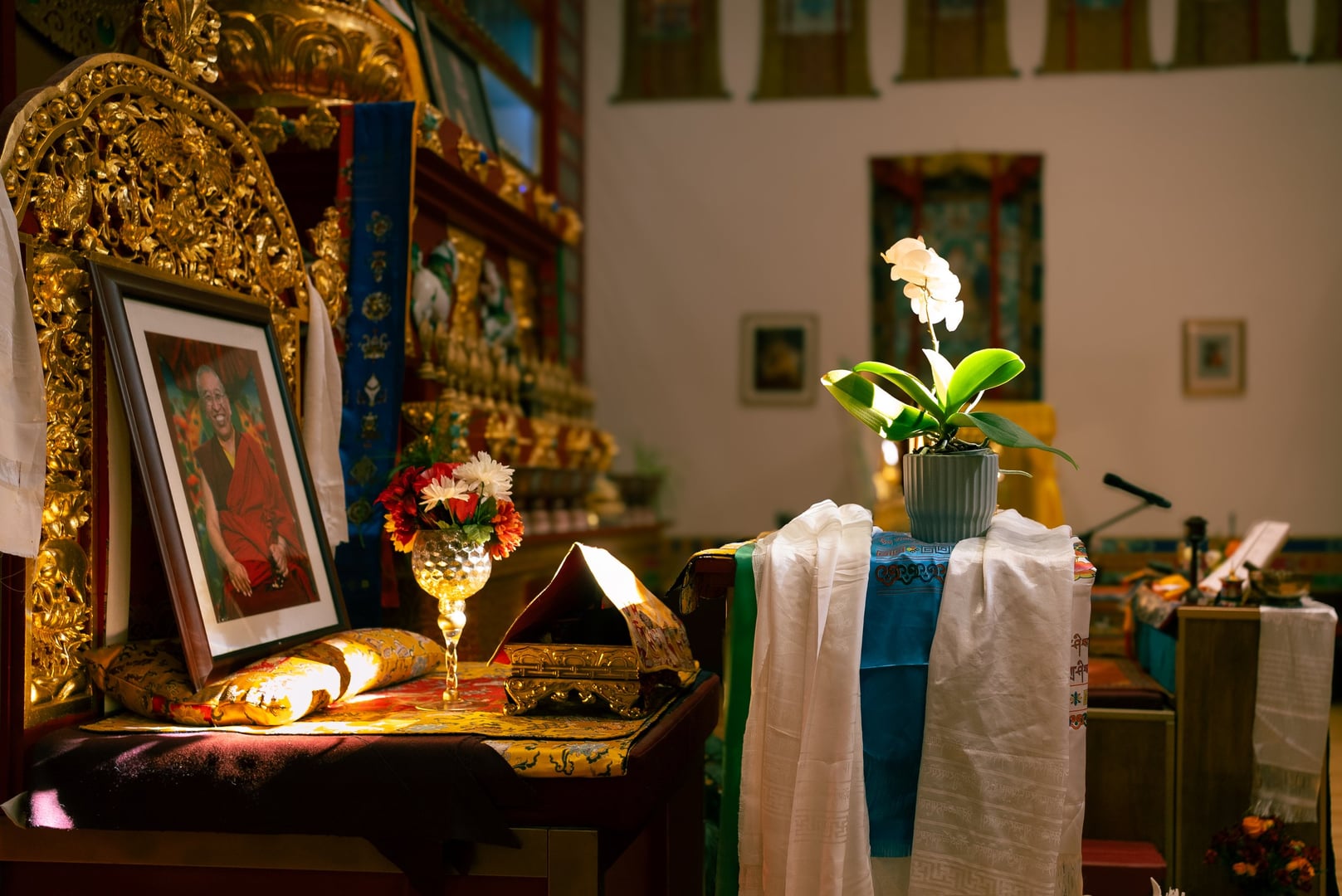 Milarepa: Insegnamenti sulla straordinaria vita di uno yogi tibetano con Ani Lodro