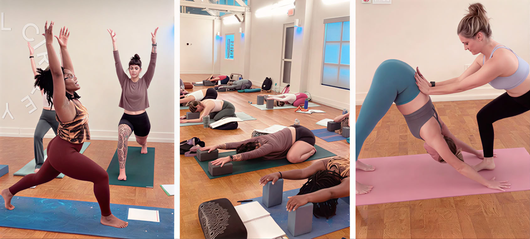FCY Formazione Yoga Alliance di 200 ore
