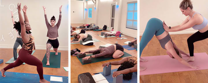 FCY Formazione Yoga Alliance di 200 ore