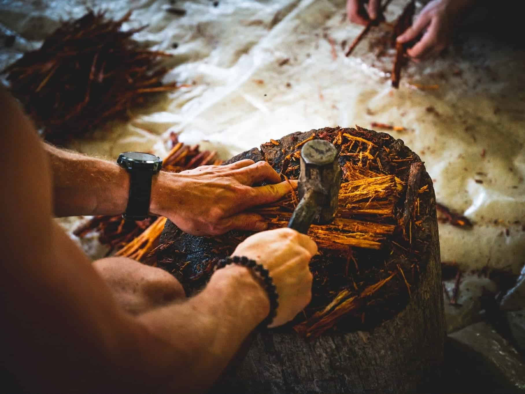 Ritiro di Ayahuasca di 5 giorni in Ecuador