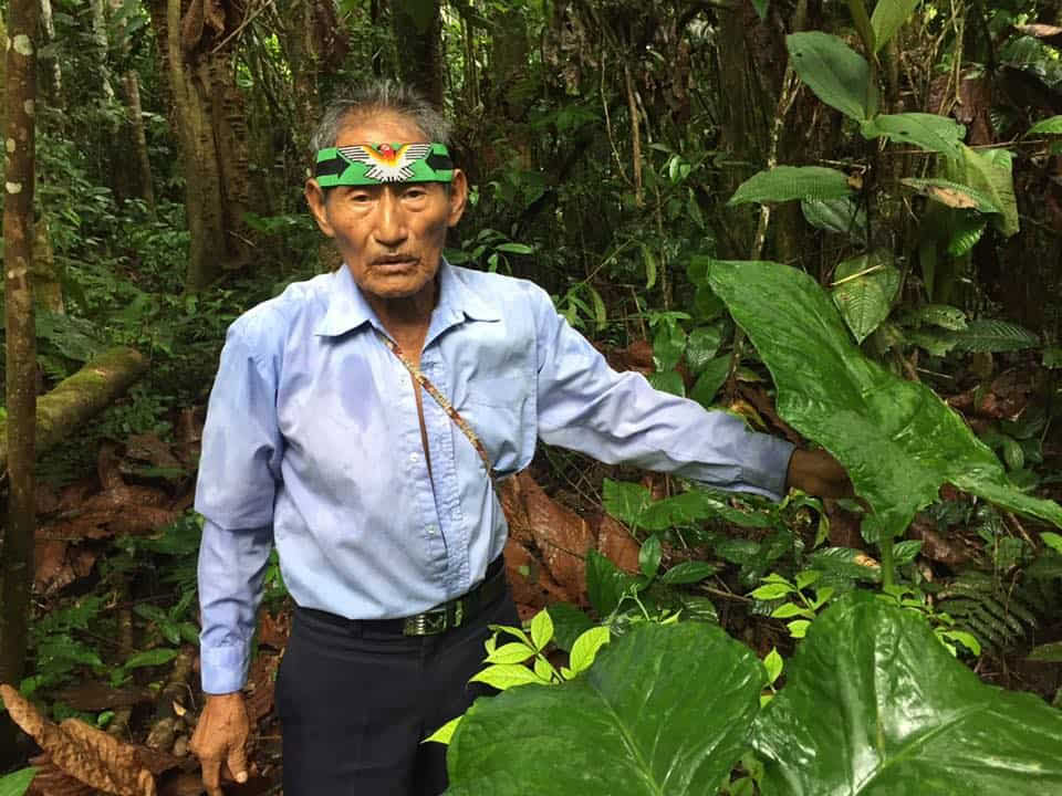 Ritiro di Ayahuasca di 5 giorni in Ecuador