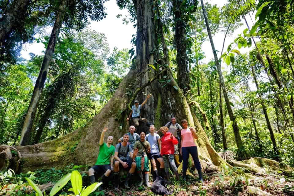 Ritiro di Ayahuasca di 5 giorni in Ecuador