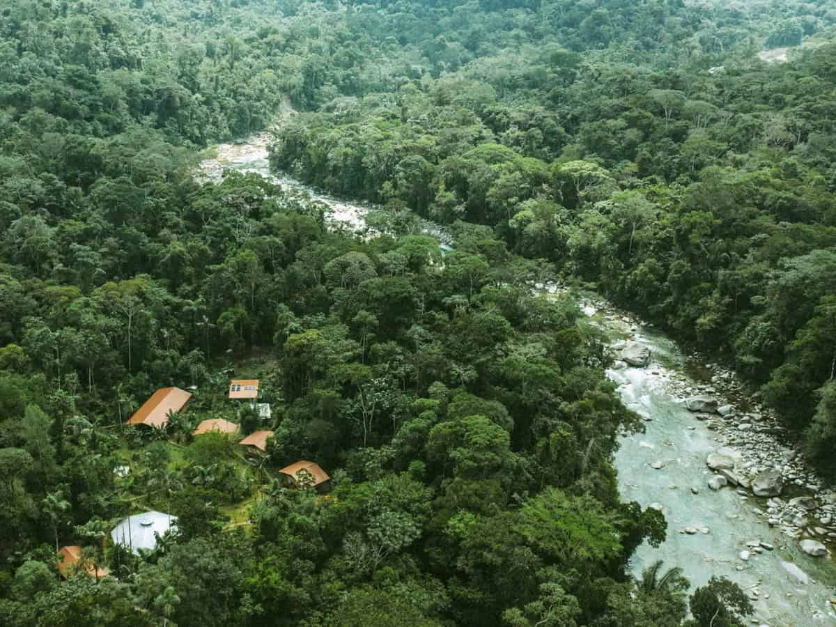Ritiro di Ayahuasca di 5 giorni in Ecuador