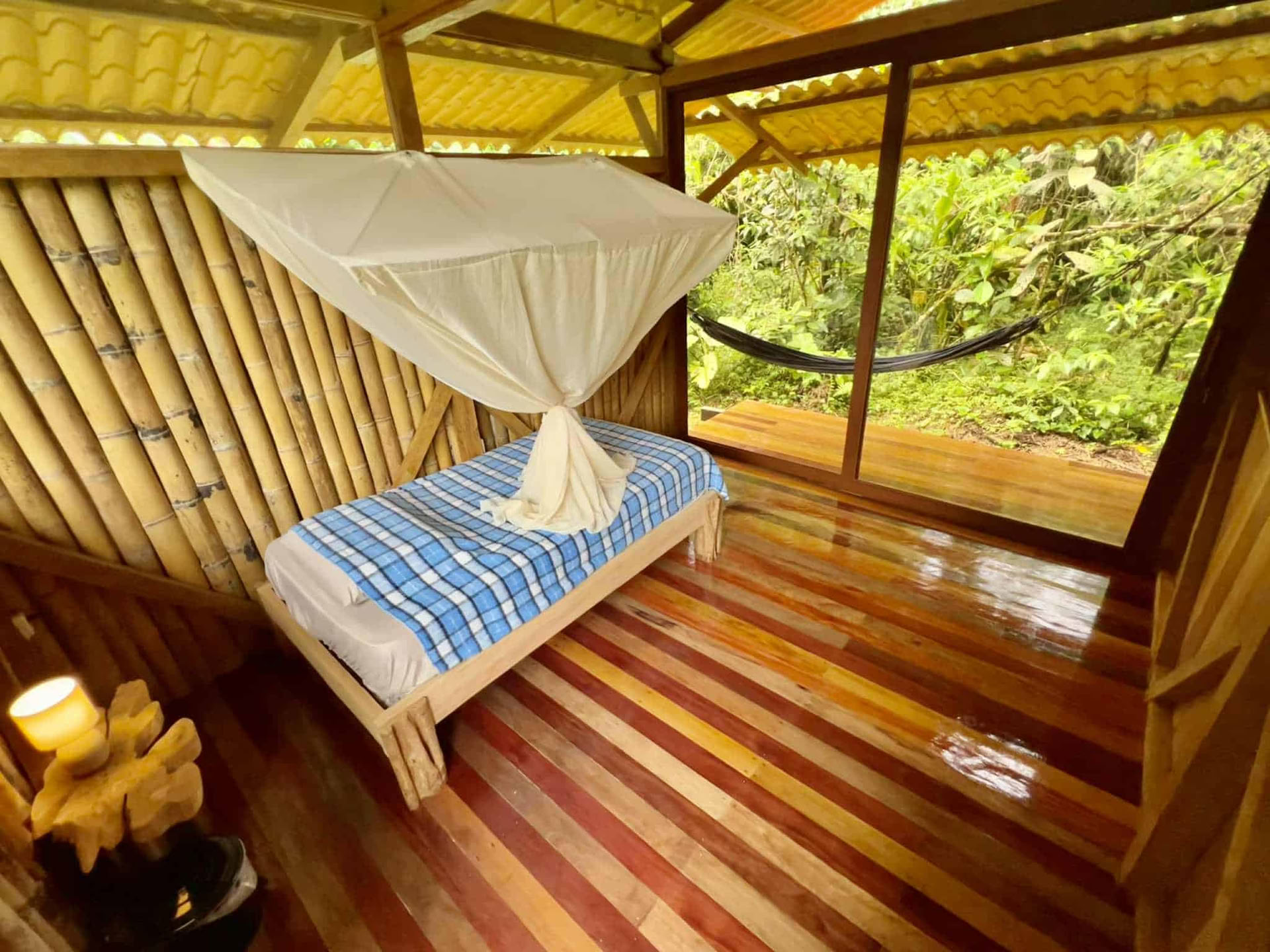 Ritiro di Ayahuasca di 5 giorni in Ecuador