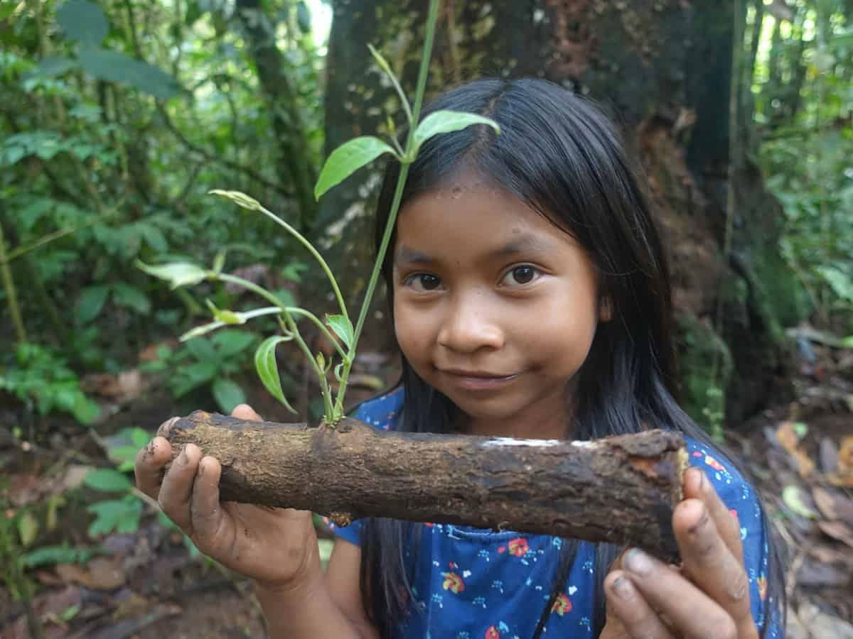 Ritiro di Ayahuasca di 5 giorni in Ecuador