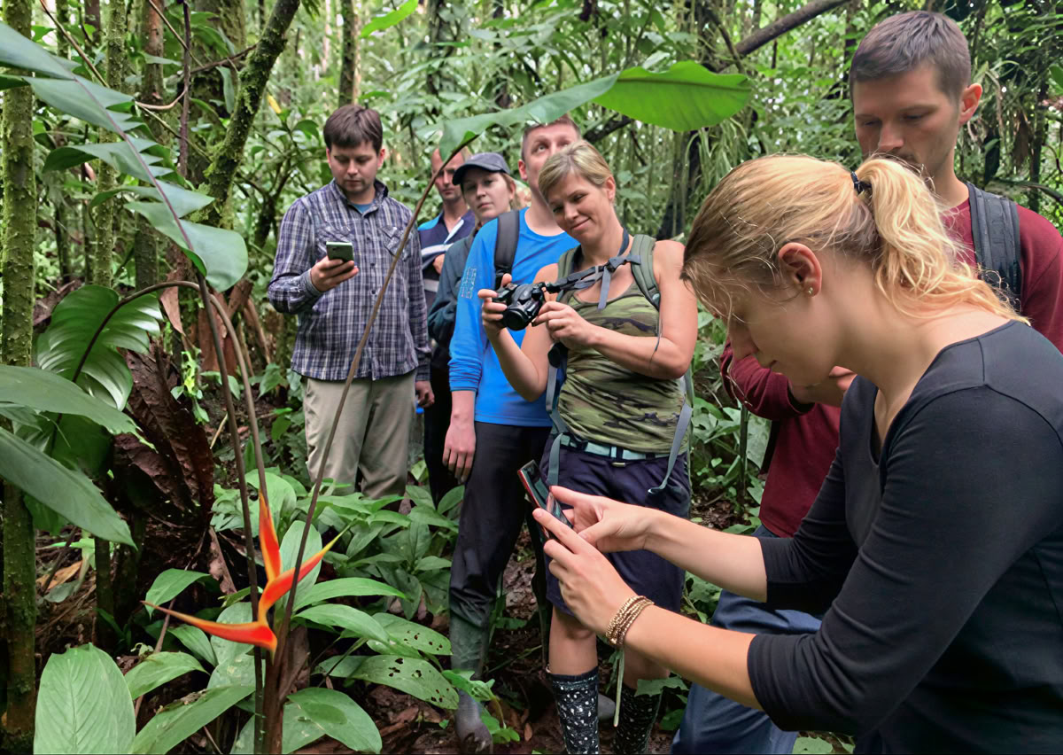 Ritiro di Ayahuasca di 5 giorni in Ecuador